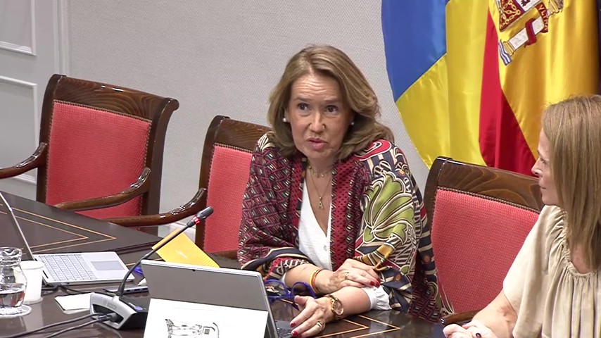 comision-estudio-ref-parlamento-canarias